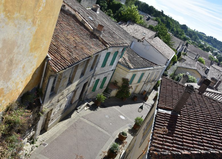 Terra Aventura : « A vos chais en Côtes de Bourg »